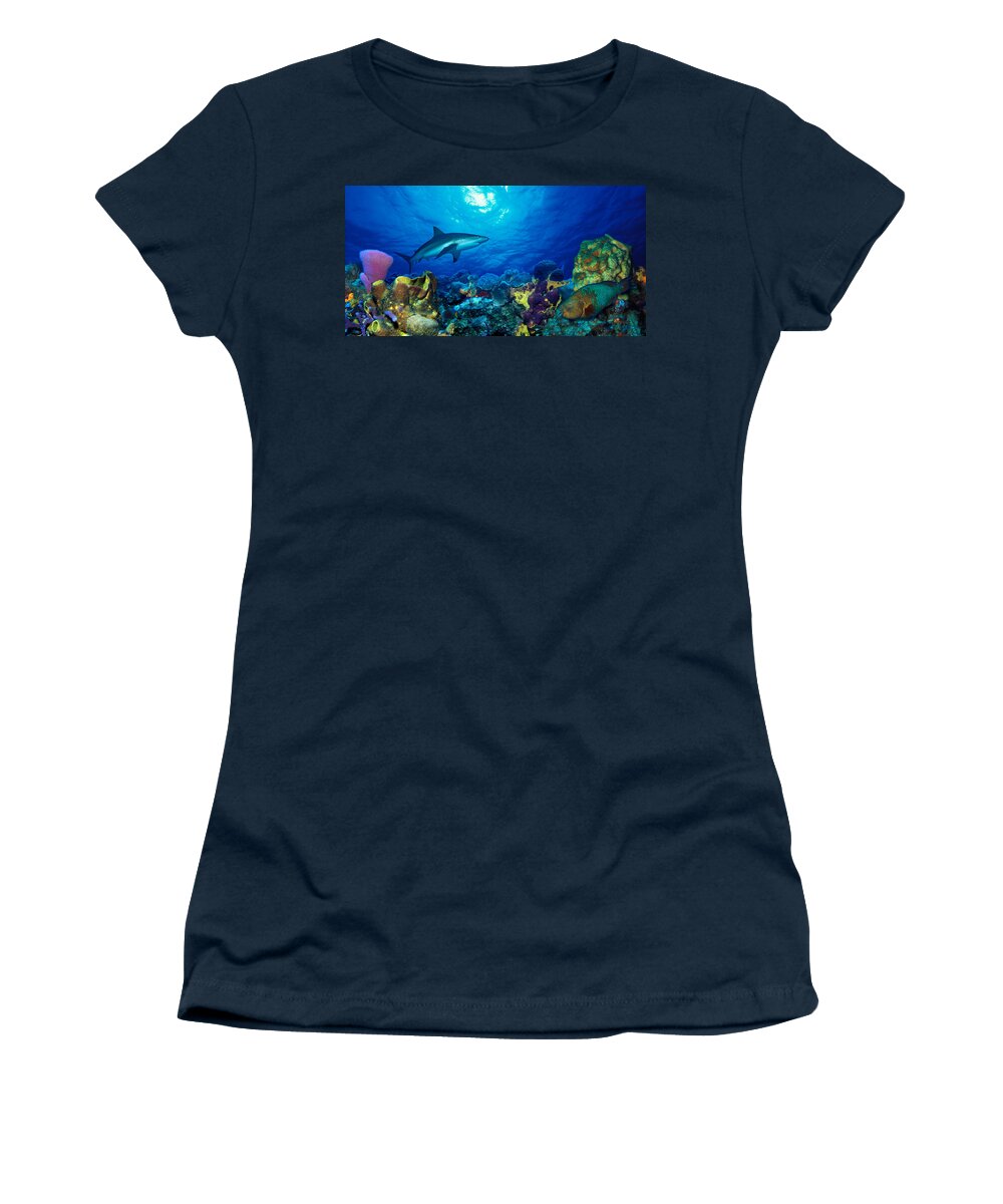 Photography Women's T-Shirt featuring the photograph Caribbean Reef Shark Carcharhinus #1 by Panoramic Images