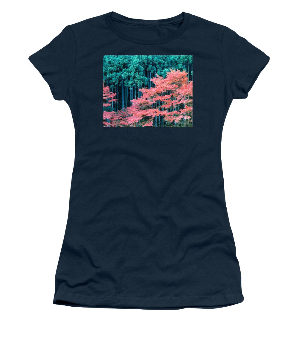 Kitayama-sugi Women's T-Shirt featuring the photograph Cedar Forest Japan #1 by Tomomi Saito