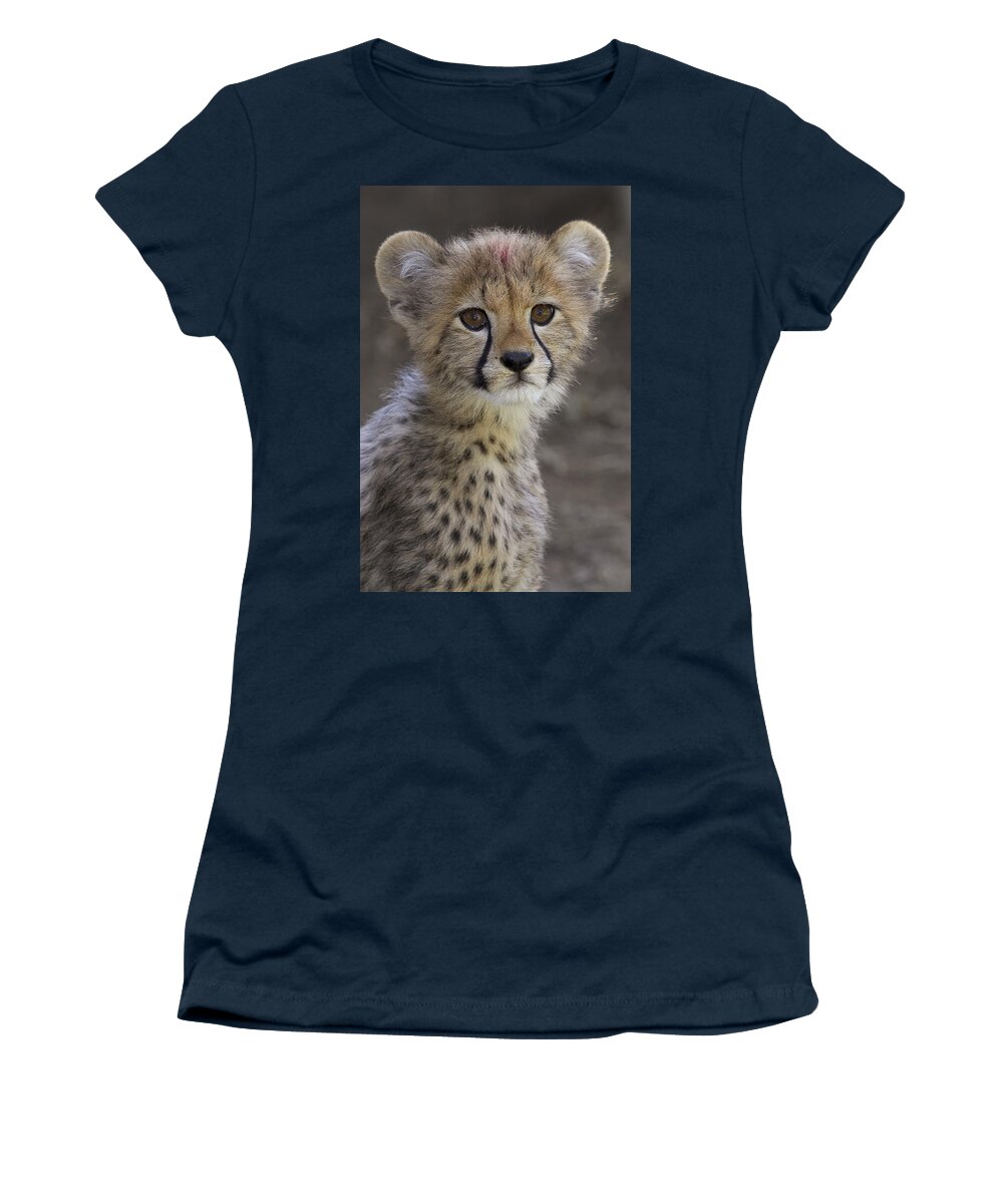 Feb0514 Women's T-Shirt featuring the photograph Cheetah Cub Portrait #1 by San Diego Zoo