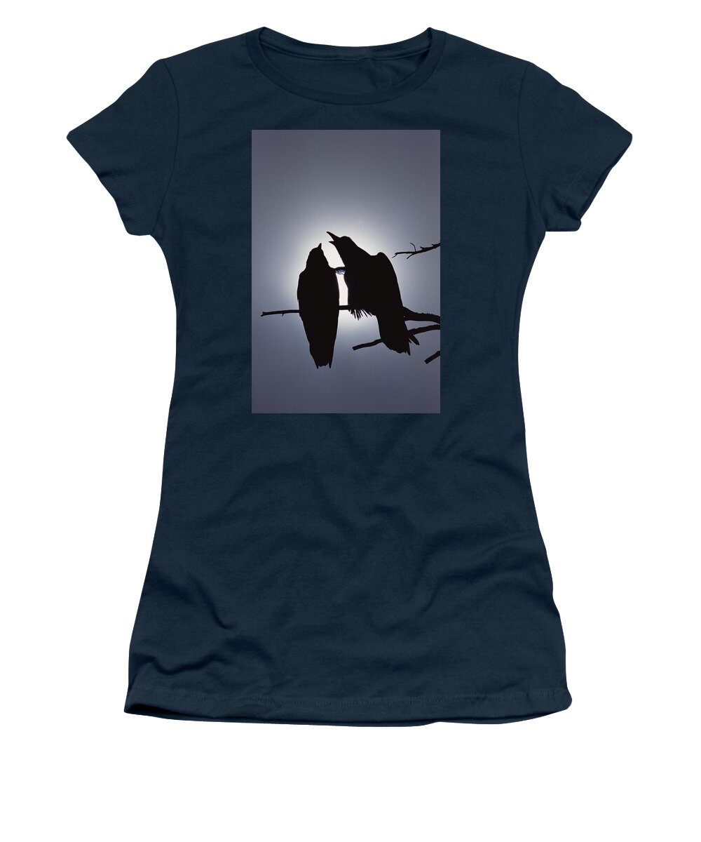 Feb0514 Women's T-Shirt featuring the photograph Common Raven Pair Perching #1 by Michael Quinton