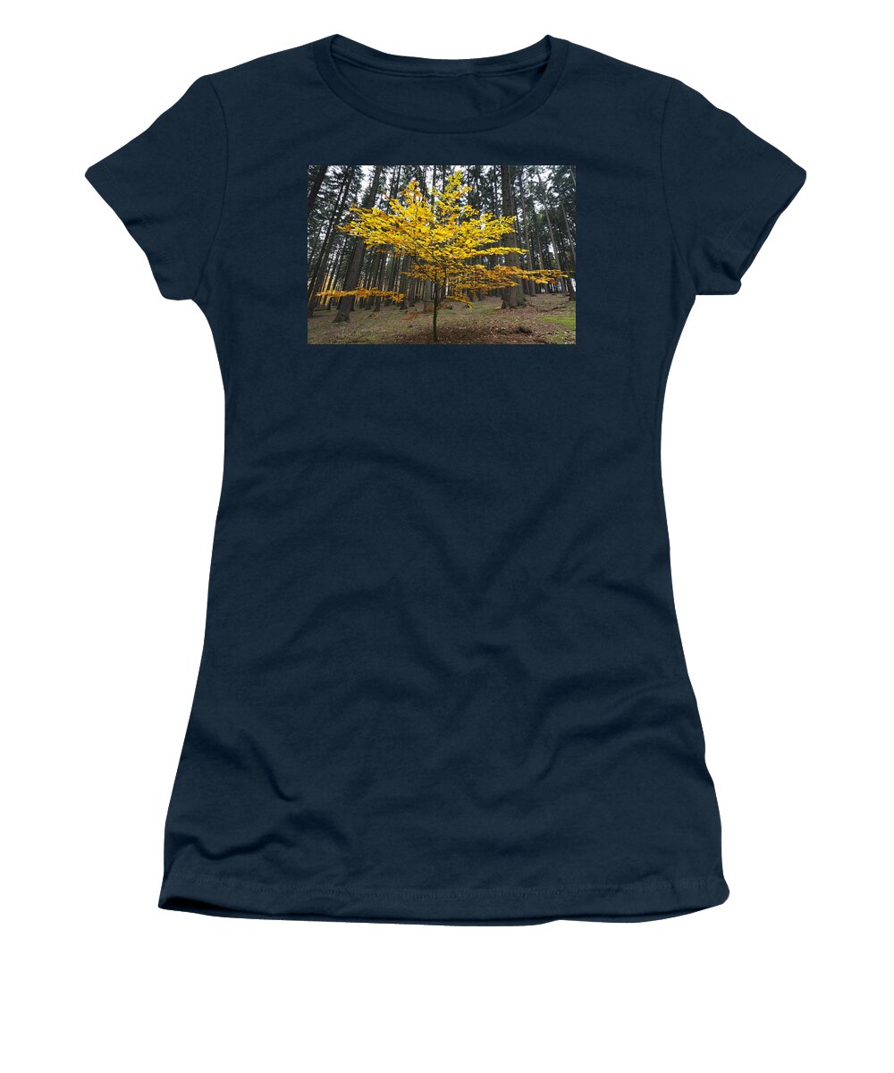 Feb0514 Women's T-Shirt featuring the photograph European Beech In Norway Spruce Forest #1 by Duncan Usher
