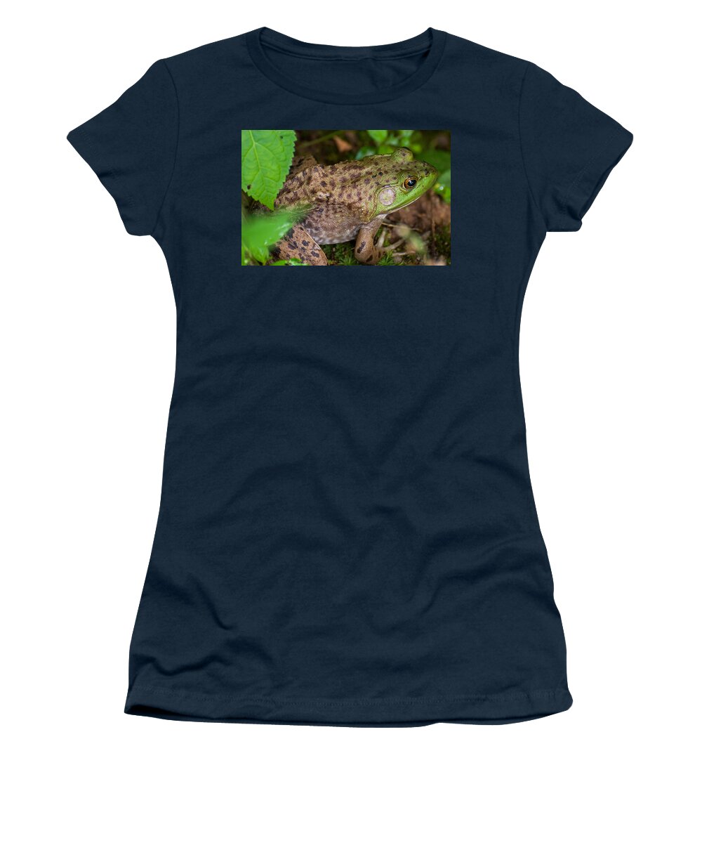 Frog Women's T-Shirt featuring the photograph Frog #2 by David Hart