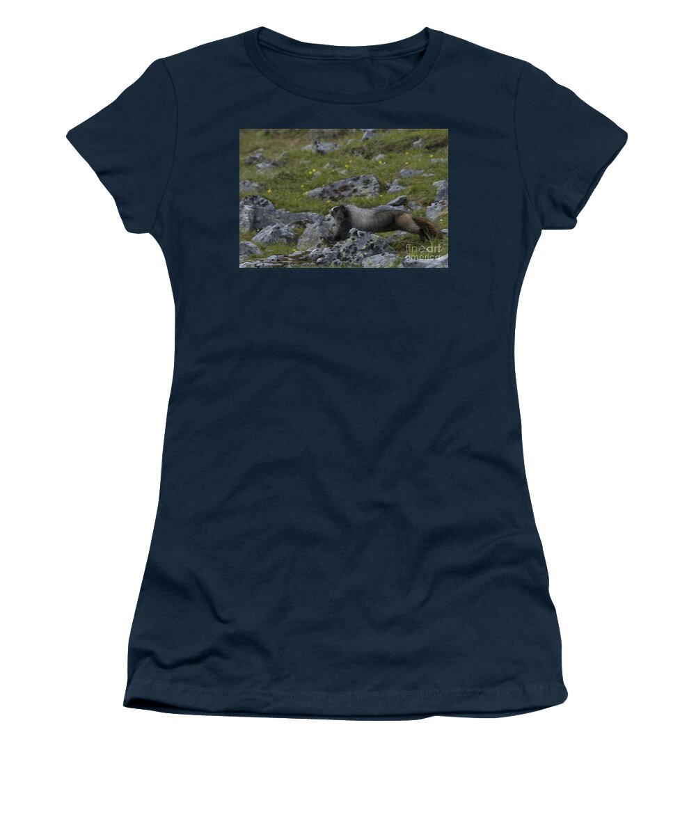 Hoary Marmot Women's T-Shirt featuring the photograph Hoary Marmot #1 by Mark Newman