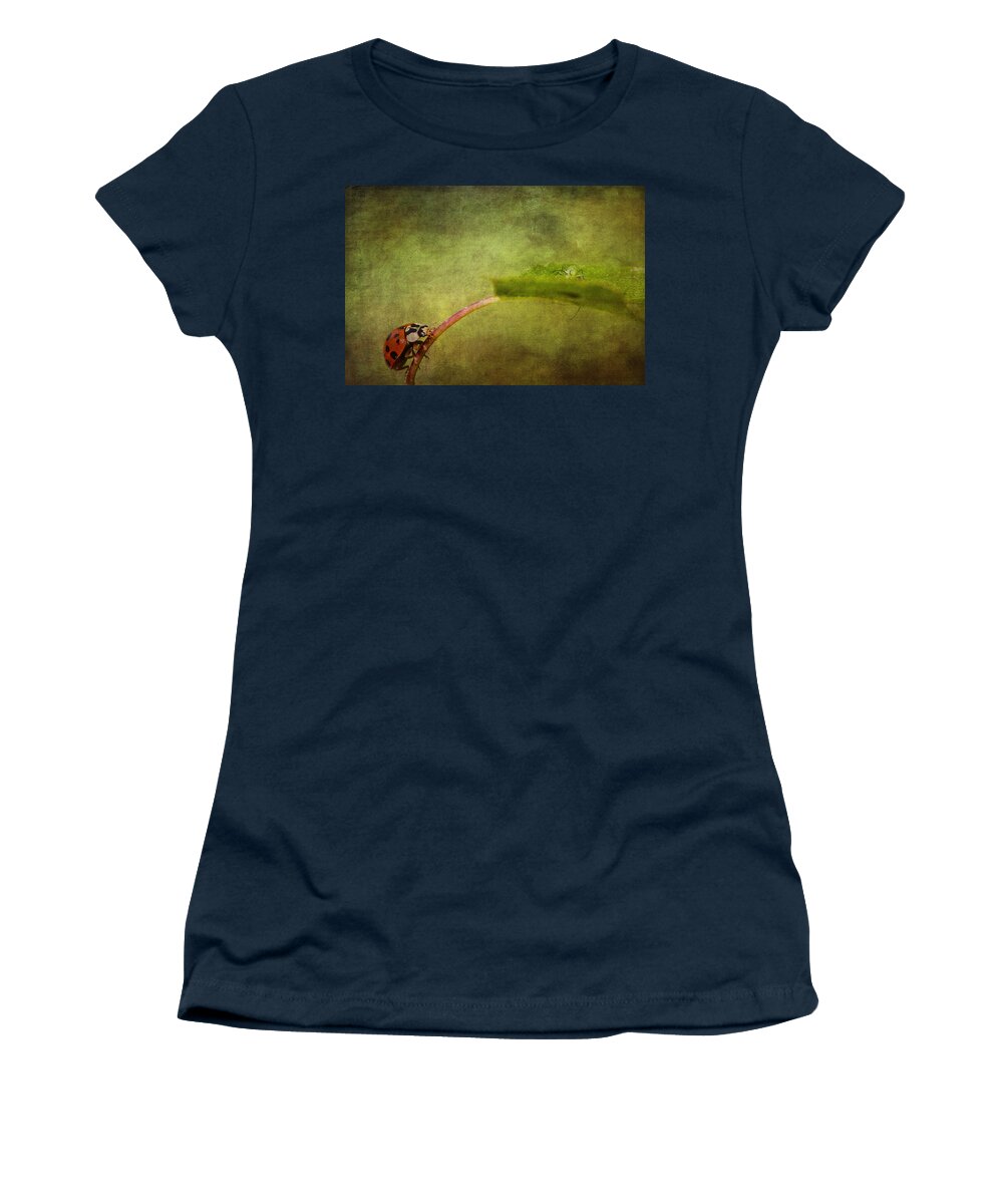 Ladybird Women's T-Shirt featuring the photograph Looking for dinner #1 by Chris Smith