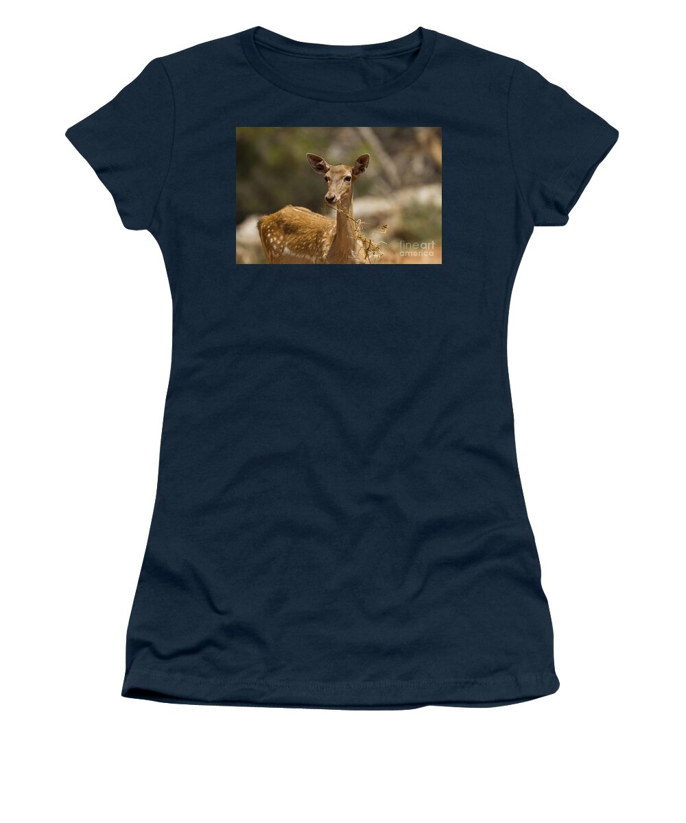 Fallow Women's T-Shirt featuring the photograph Mesopotamian Fallow deer 3 #1 by Eyal Bartov