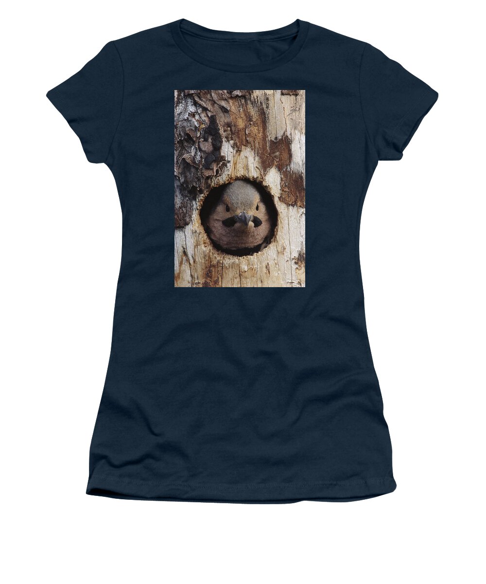 Feb0514 Women's T-Shirt featuring the photograph Northern Flicker In Nest Cavity Alaska by Michael Quinton