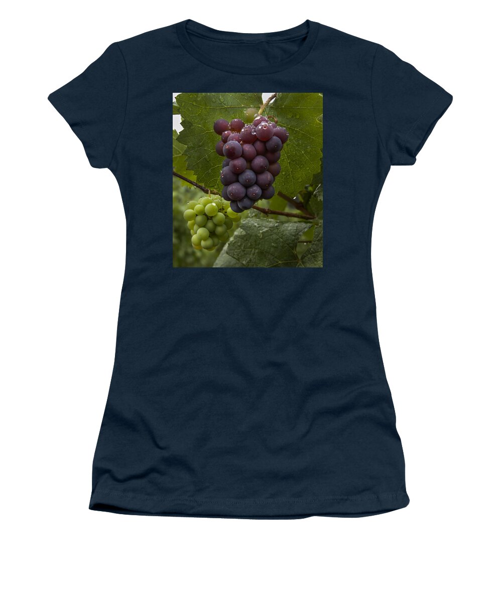 Grape Women's T-Shirt featuring the photograph Pinot Noir Grapes #1 by Jean Noren