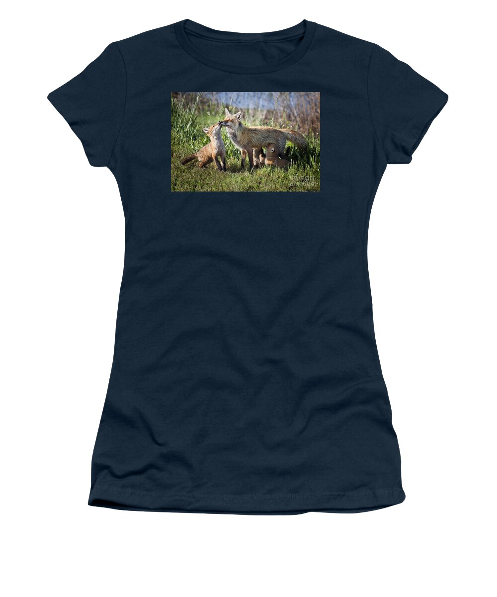 Fox Women's T-Shirt featuring the photograph Red Fox Family #1 by Ronald Lutz