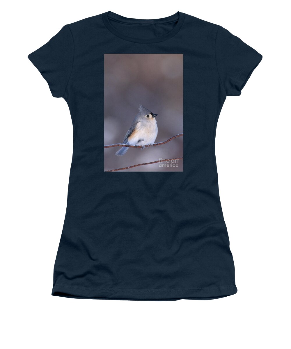 Tufted Titmouse Women's T-Shirt featuring the photograph Tufted Titmouse #1 by Larry West
