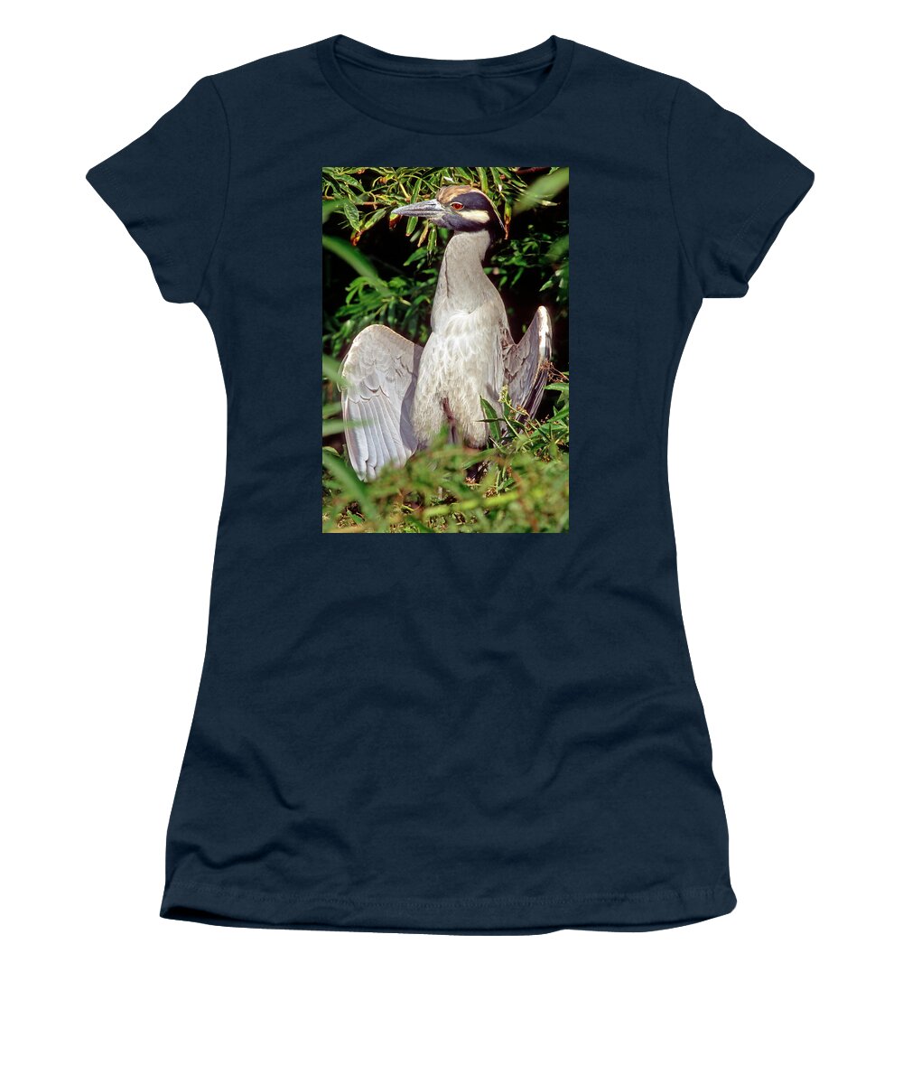 Nature Women's T-Shirt featuring the photograph Yellow Crowned Night Heron #11 by Millard H. Sharp