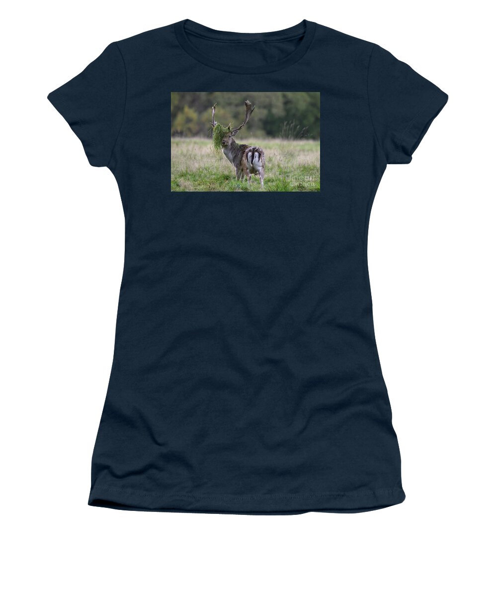 Fallow Deer Women's T-Shirt featuring the photograph 110221p138 by Arterra Picture Library
