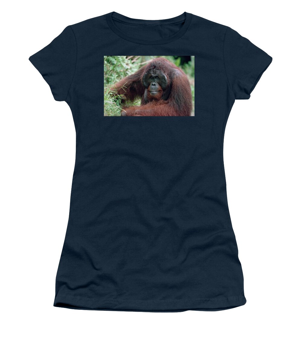 00195059 Women's T-Shirt featuring the photograph Orangutan Elderly Male by Konrad Wothe