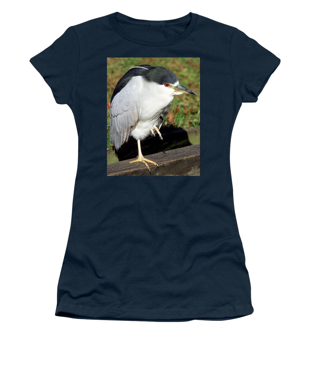 Animal Women's T-Shirt featuring the photograph Black-crowned Night-heron #12 by Millard H. Sharp