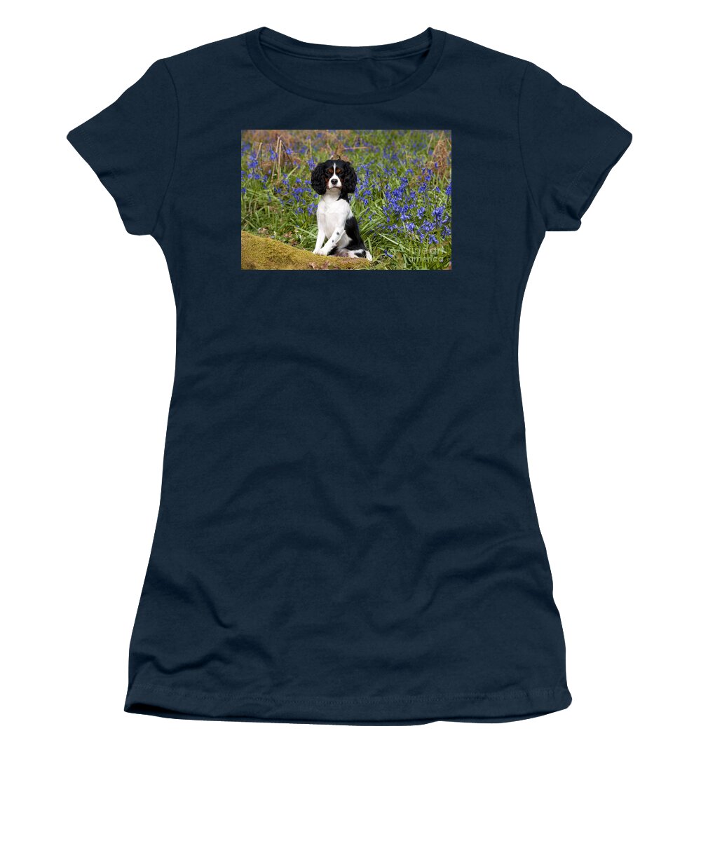 Dog Women's T-Shirt featuring the photograph Cavalier King Charles Spaniel #12 by John Daniels