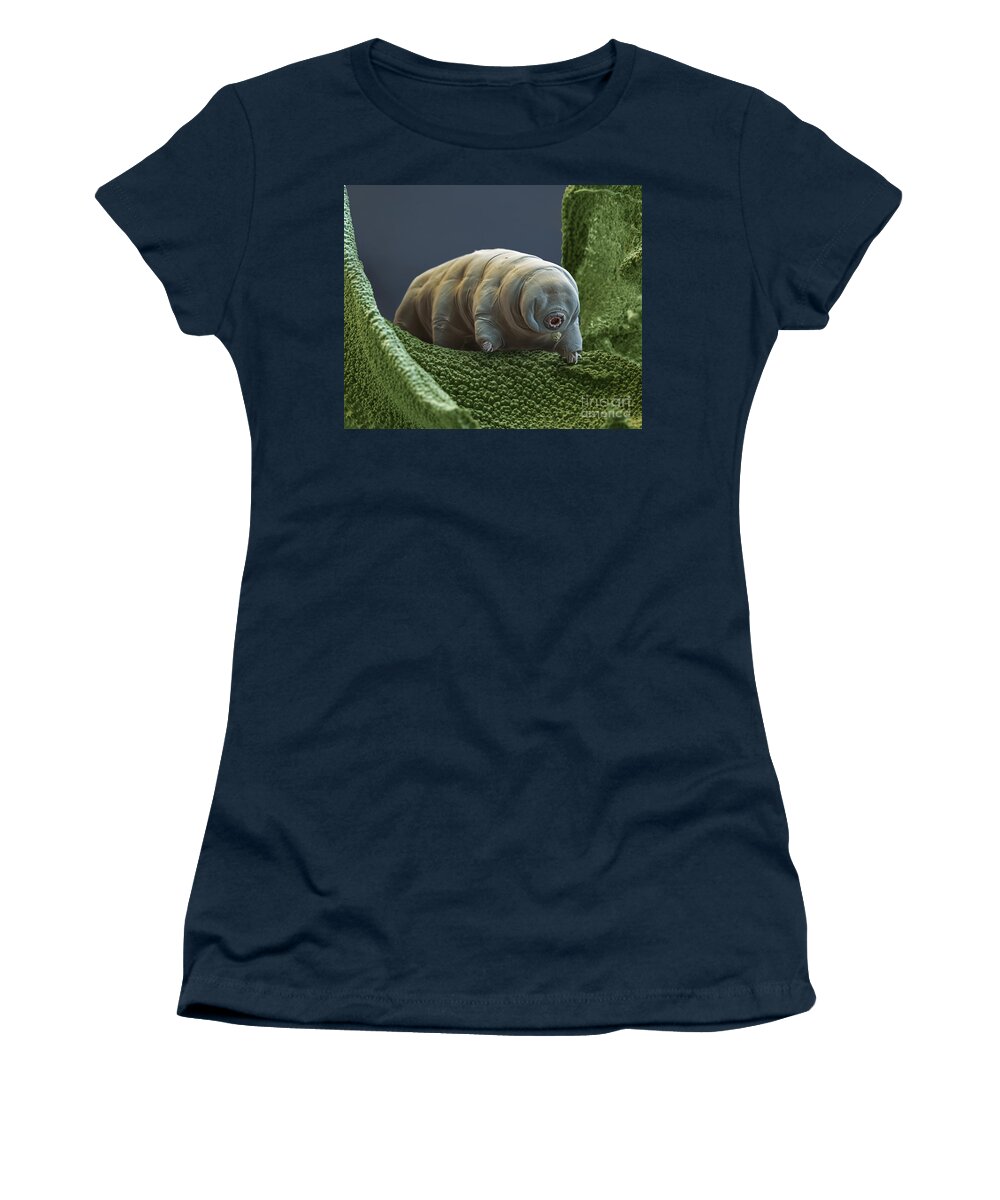 Paramacrobiotus Tonolli Women's T-Shirt featuring the photograph Water Bear by Eye of Science and Science Source