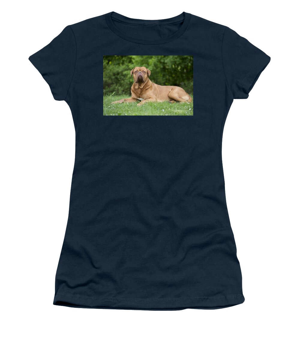 Dog Women's T-Shirt featuring the photograph Dogue De Bordeaux #14 by Jean-Michel Labat