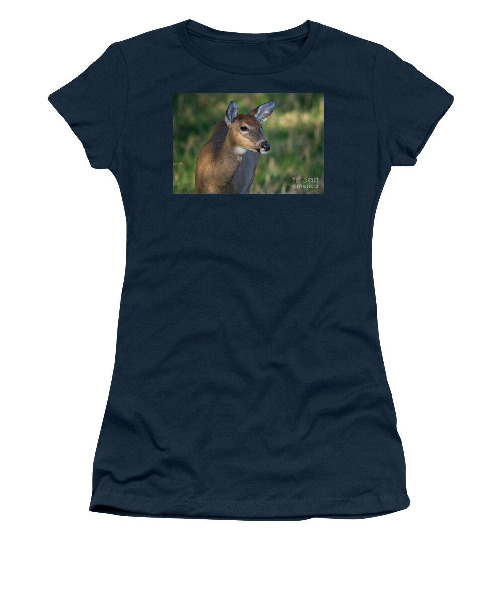 Odocoileus Virginianus Women's T-Shirt featuring the photograph White-tailed Fawn #17 by Linda Freshwaters Arndt
