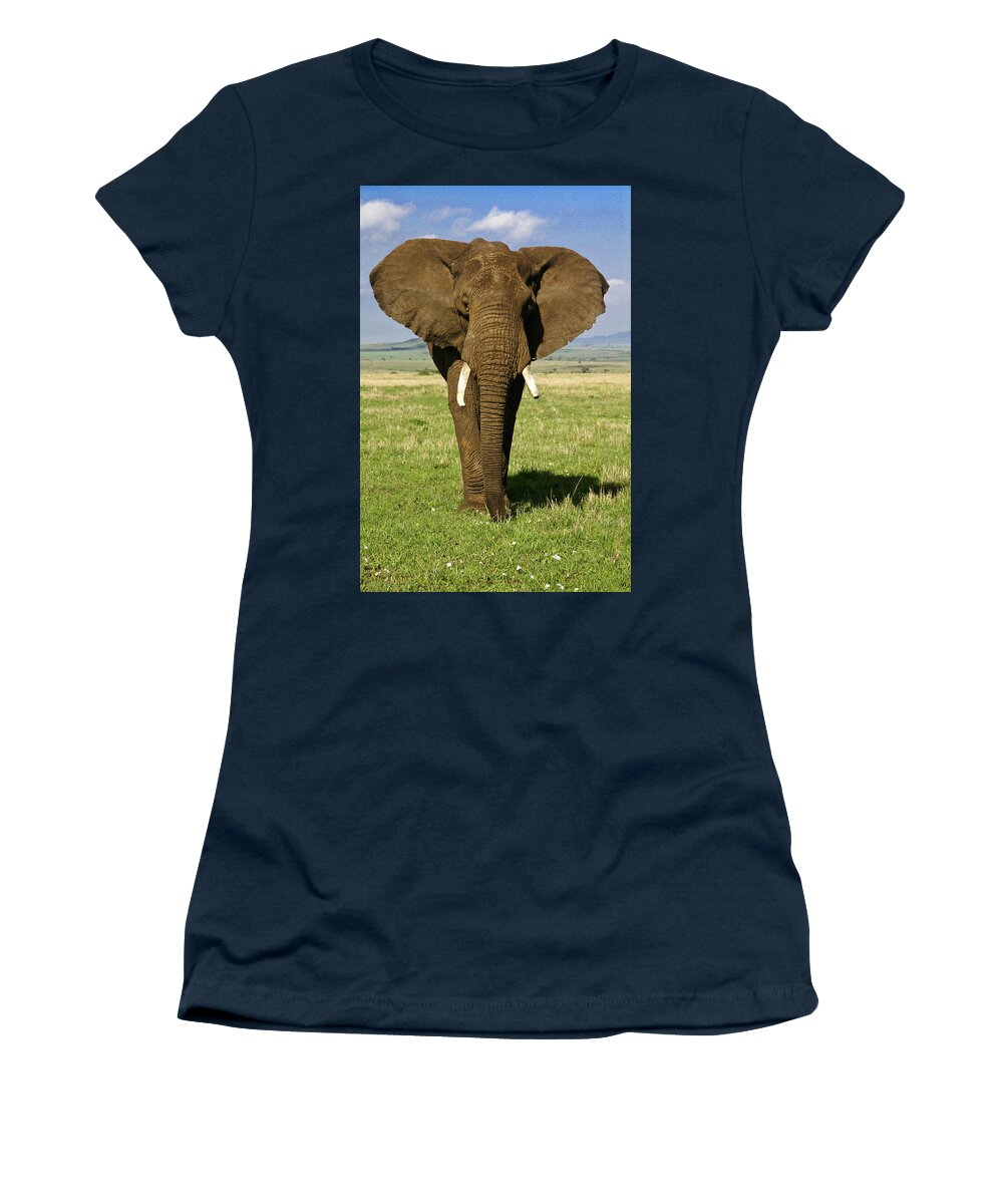 Africa Women's T-Shirt featuring the photograph Big Boy #2 by Michele Burgess