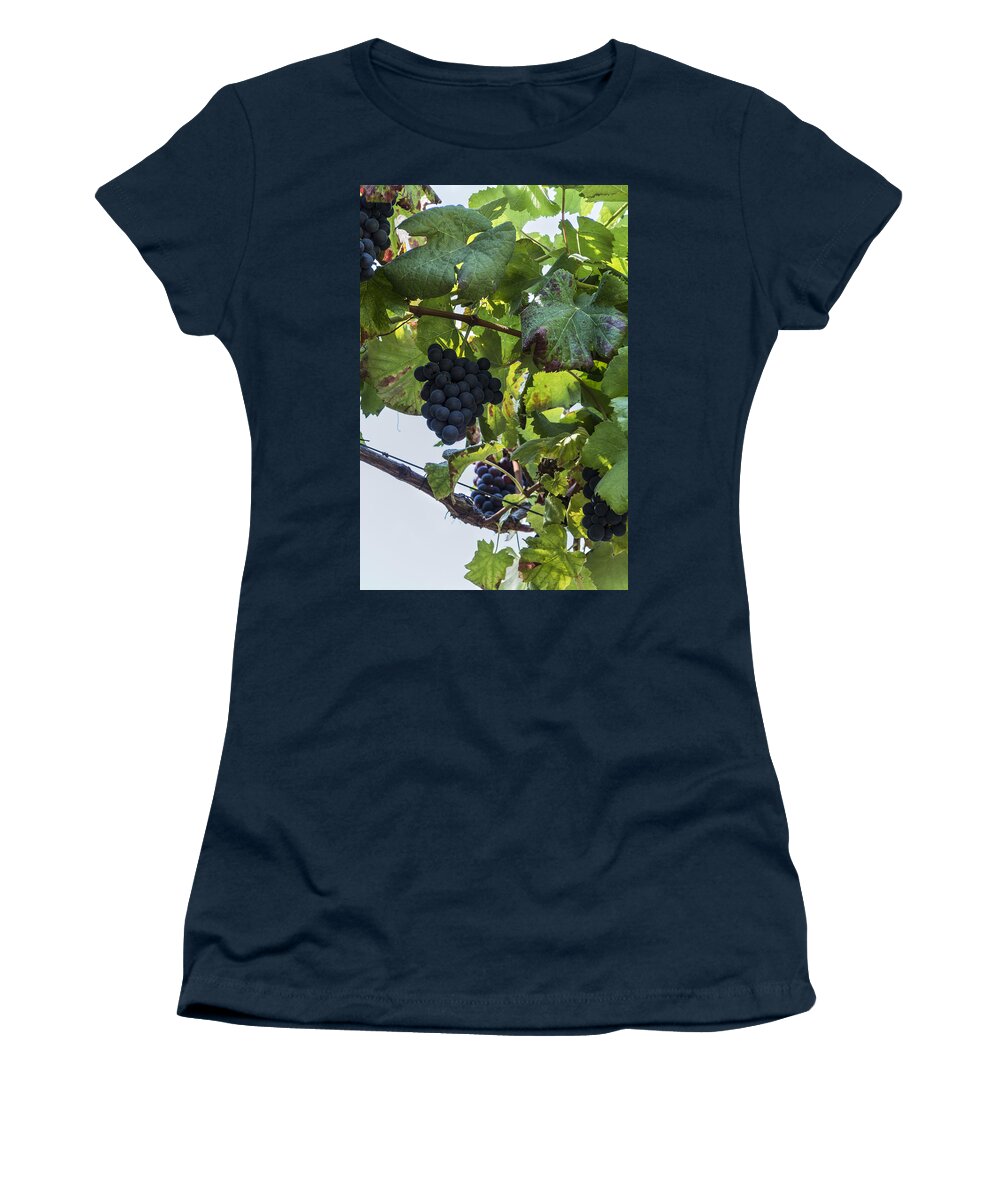 Agriculture Women's T-Shirt featuring the photograph Black grapes #2 by Paulo Goncalves