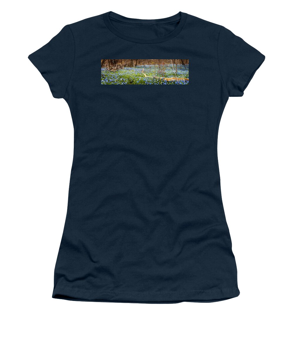 Flowers Women's T-Shirt featuring the photograph Carpet of blue flowers in spring forest 1 by Elena Elisseeva