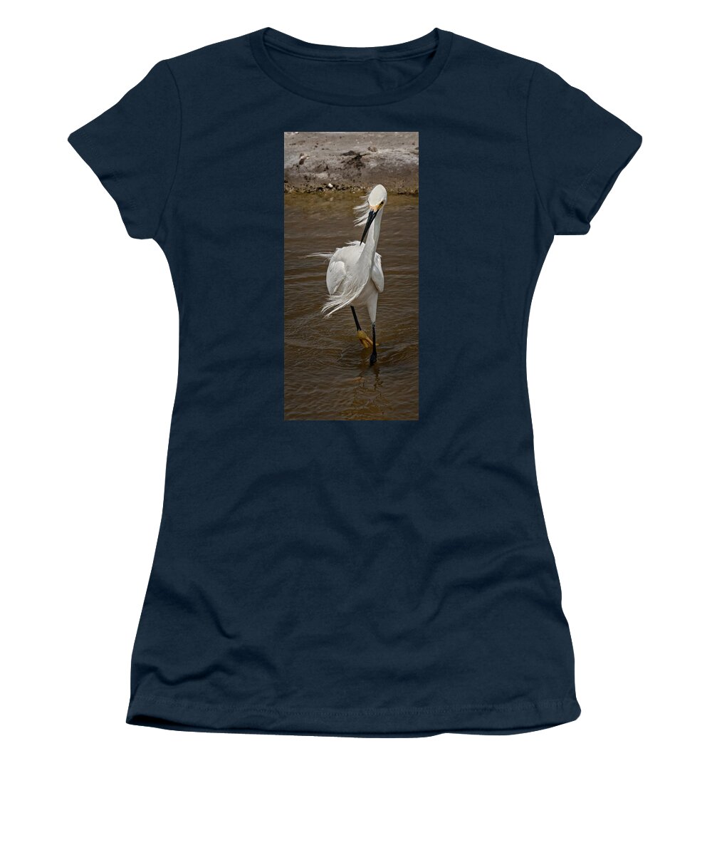 Snowy Egret Women's T-Shirt featuring the photograph Dancing on the Wind #2 by Betty Depee