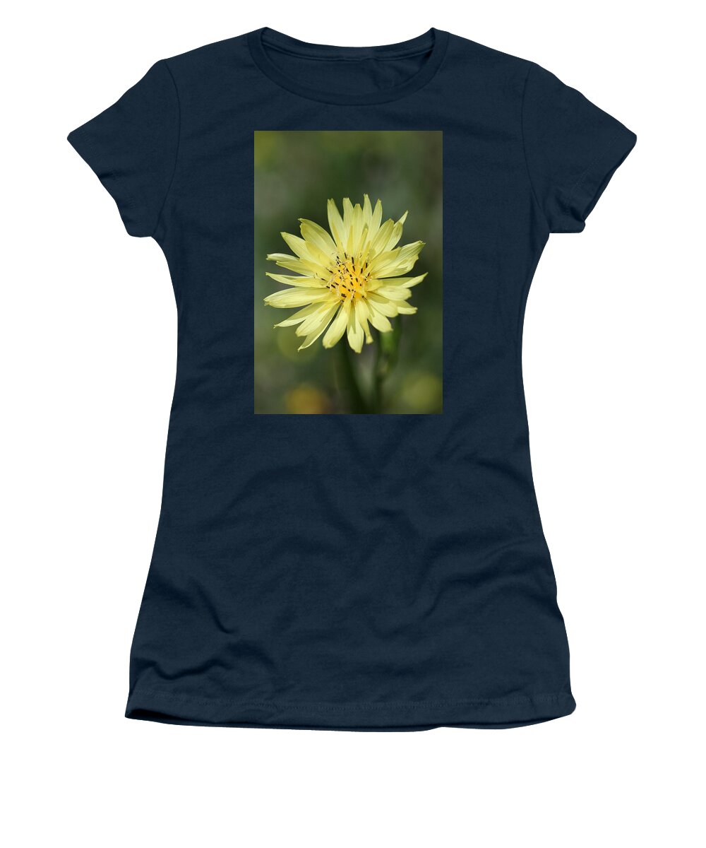 Dandelion Women's T-Shirt featuring the photograph Dandelion #1 by Ester McGuire