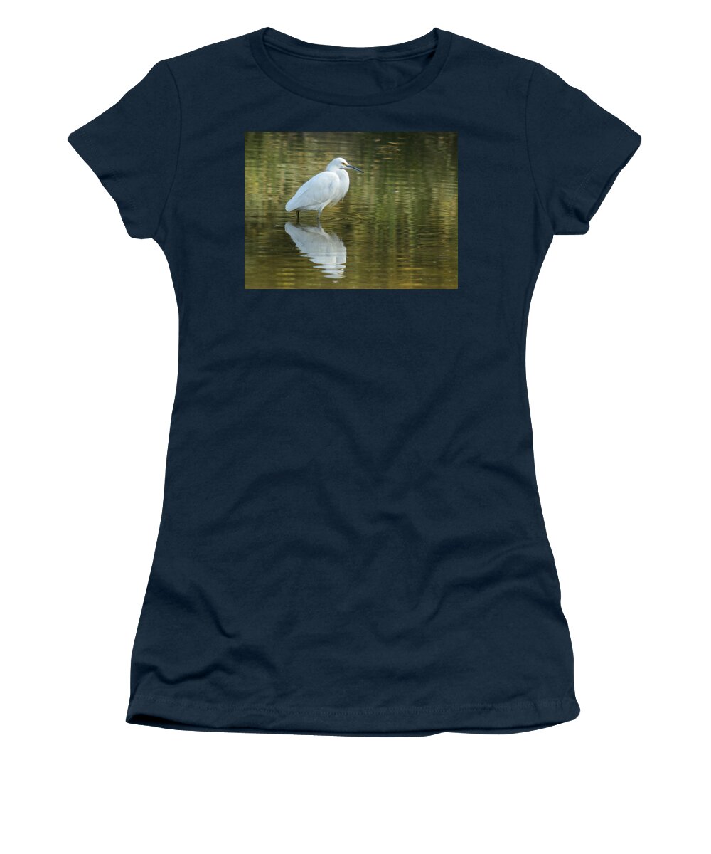 Egret Women's T-Shirt featuring the photograph Egret Reflection by Tam Ryan
