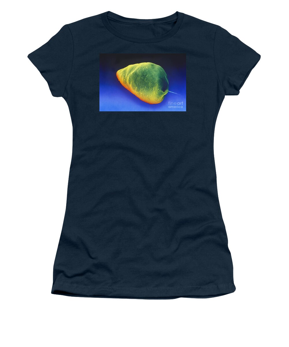 Science Women's T-Shirt featuring the photograph Euglena Sem #6 by David M Phillips
