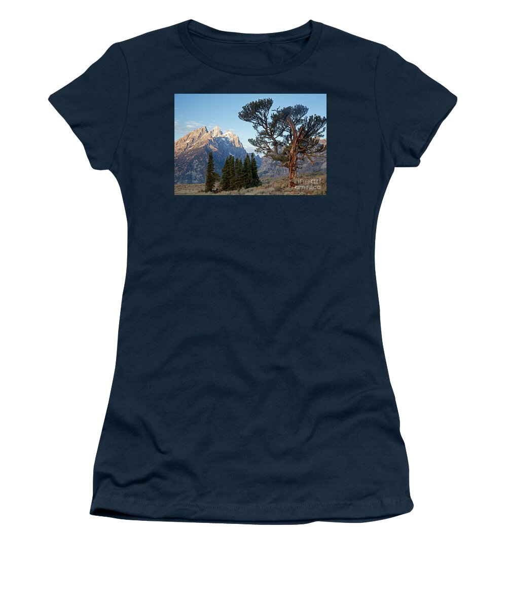 Autumn Women's T-Shirt featuring the photograph Old Patriarch Grand Teton National Park #2 by Fred Stearns