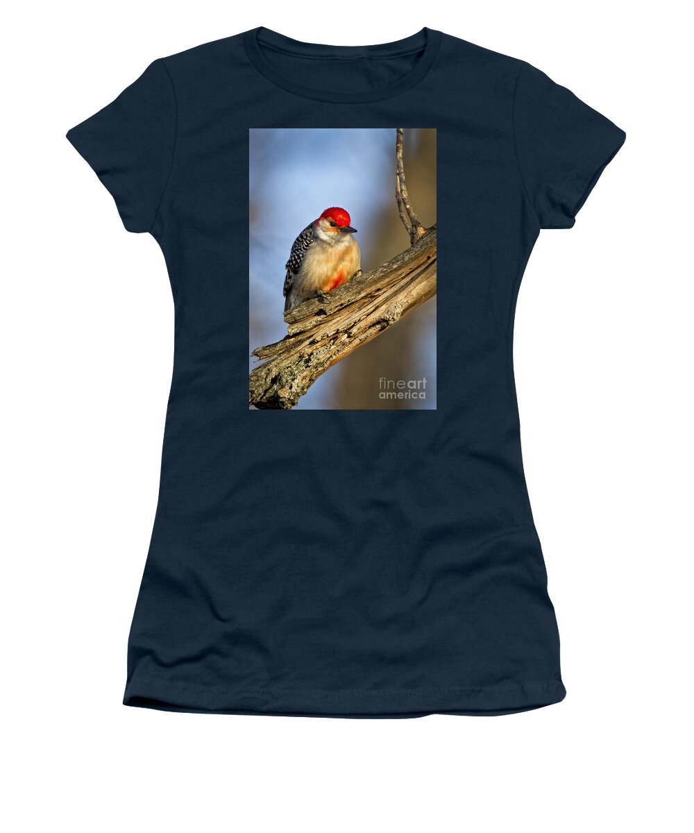 Nature Women's T-Shirt featuring the photograph Red-bellied Woodpecker #2 by Ronald Lutz