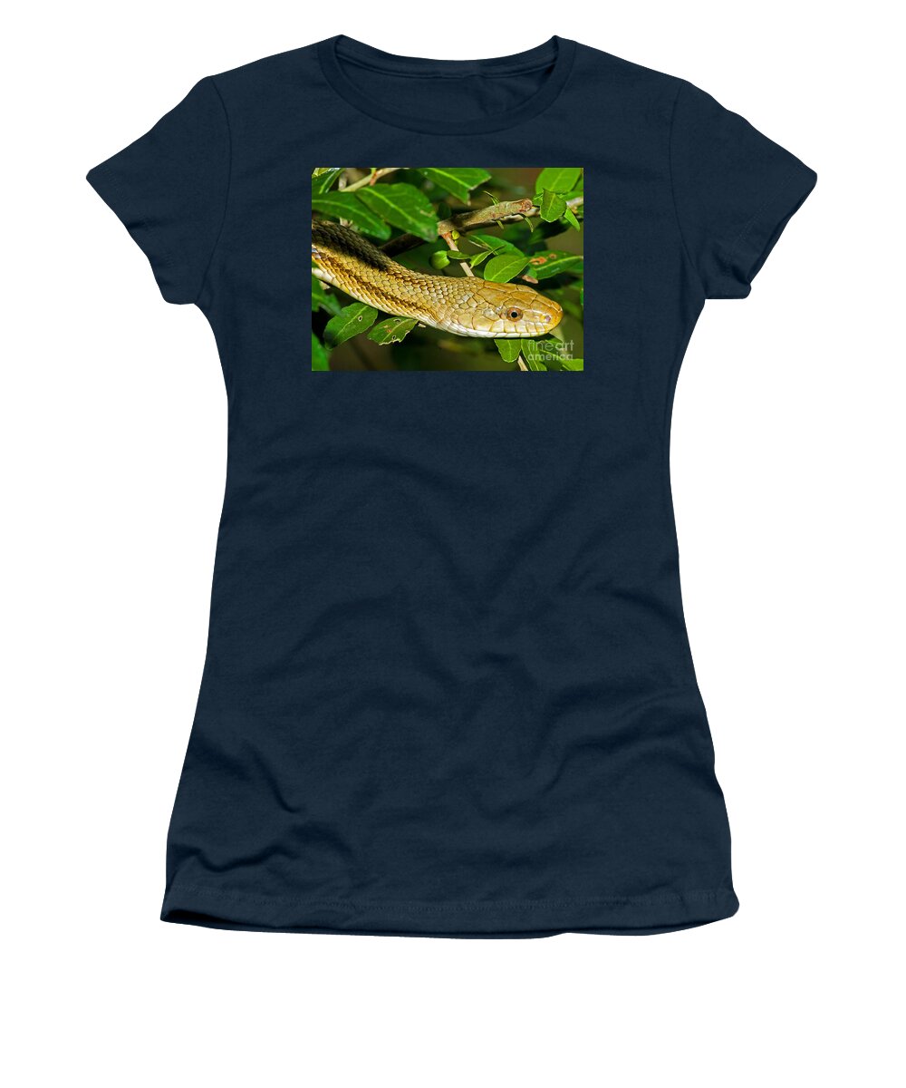 Nature Women's T-Shirt featuring the photograph Yellow Rat Snake #2 by Millard H. Sharp