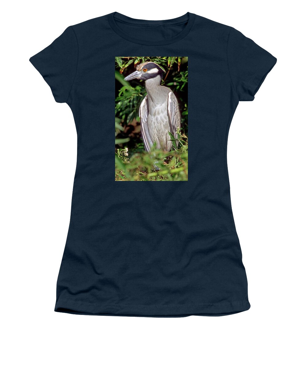 Nature Women's T-Shirt featuring the photograph Yellow Crowned Night Heron #24 by Millard H. Sharp