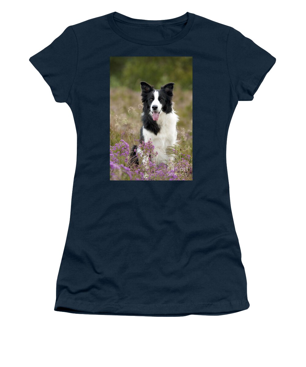 Dog Women's T-Shirt featuring the photograph Border Collie #27 by John Daniels