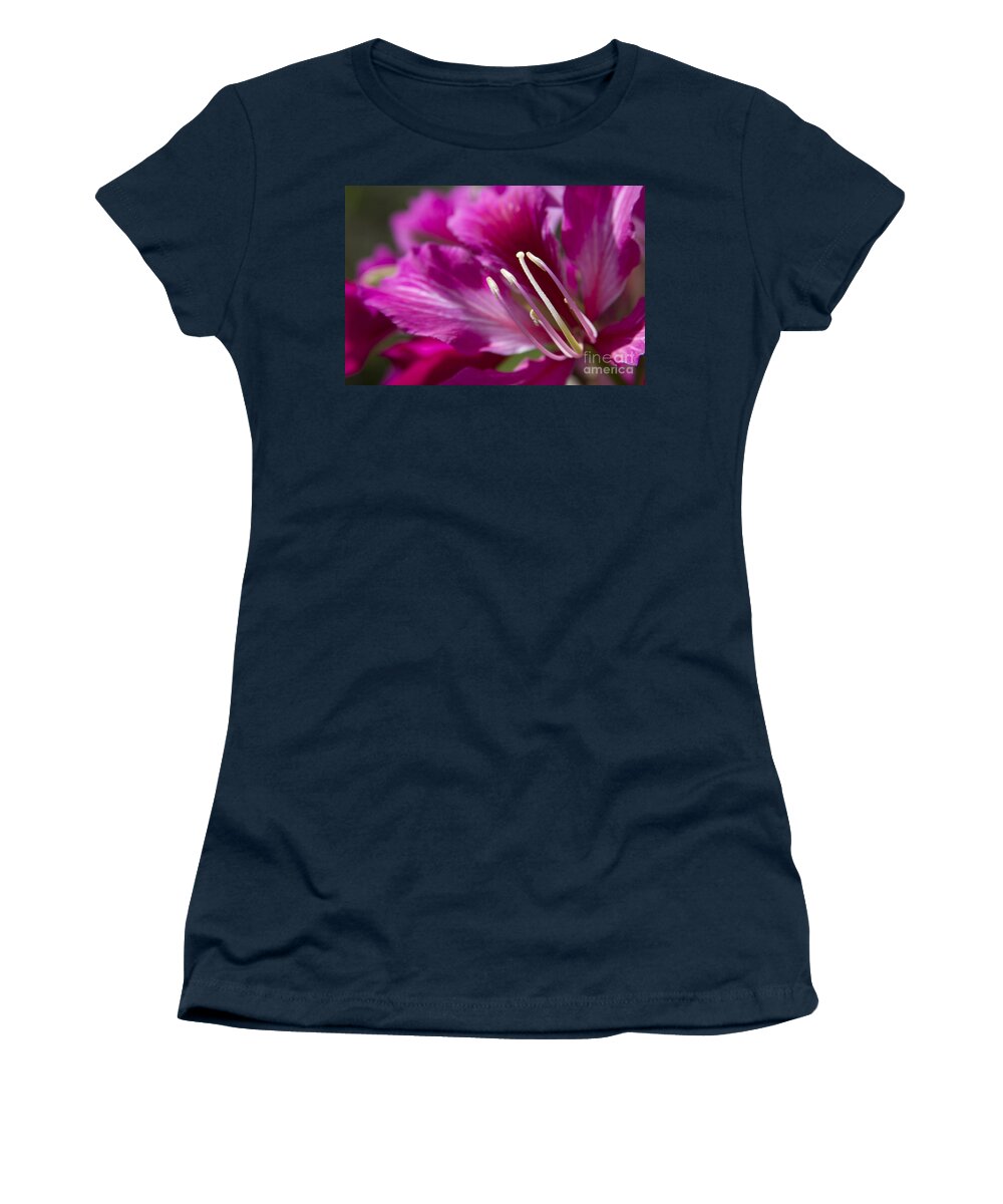 Aloha Women's T-Shirt featuring the photograph Bauhinia Blakeana - Hong Kong Orchid - Hawaiian Orchid Tree 5 by Sharon Mau