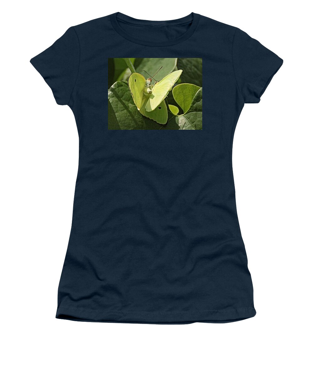 Butterfuly Women's T-Shirt featuring the photograph Butterfly Love #3 by Dart Humeston