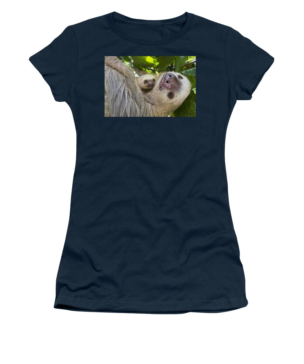 Suzi Eszterhas Women's T-Shirt featuring the photograph Hoffmanns Two-toed Sloth And Old Baby #3 by Suzi Eszterhas