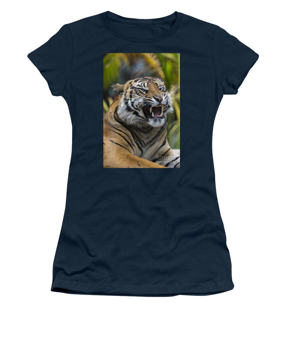 San Diego Zoo Women's T-Shirt featuring the photograph Sumatran Tiger #3 by San Diego Zoo