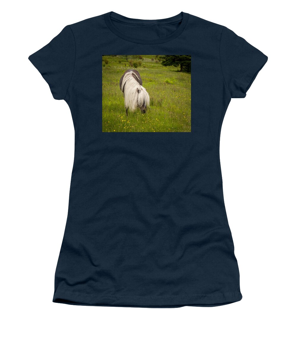 Appalachian Trail Women's T-Shirt featuring the photograph Wild Horses #3 by Joye Ardyn Durham