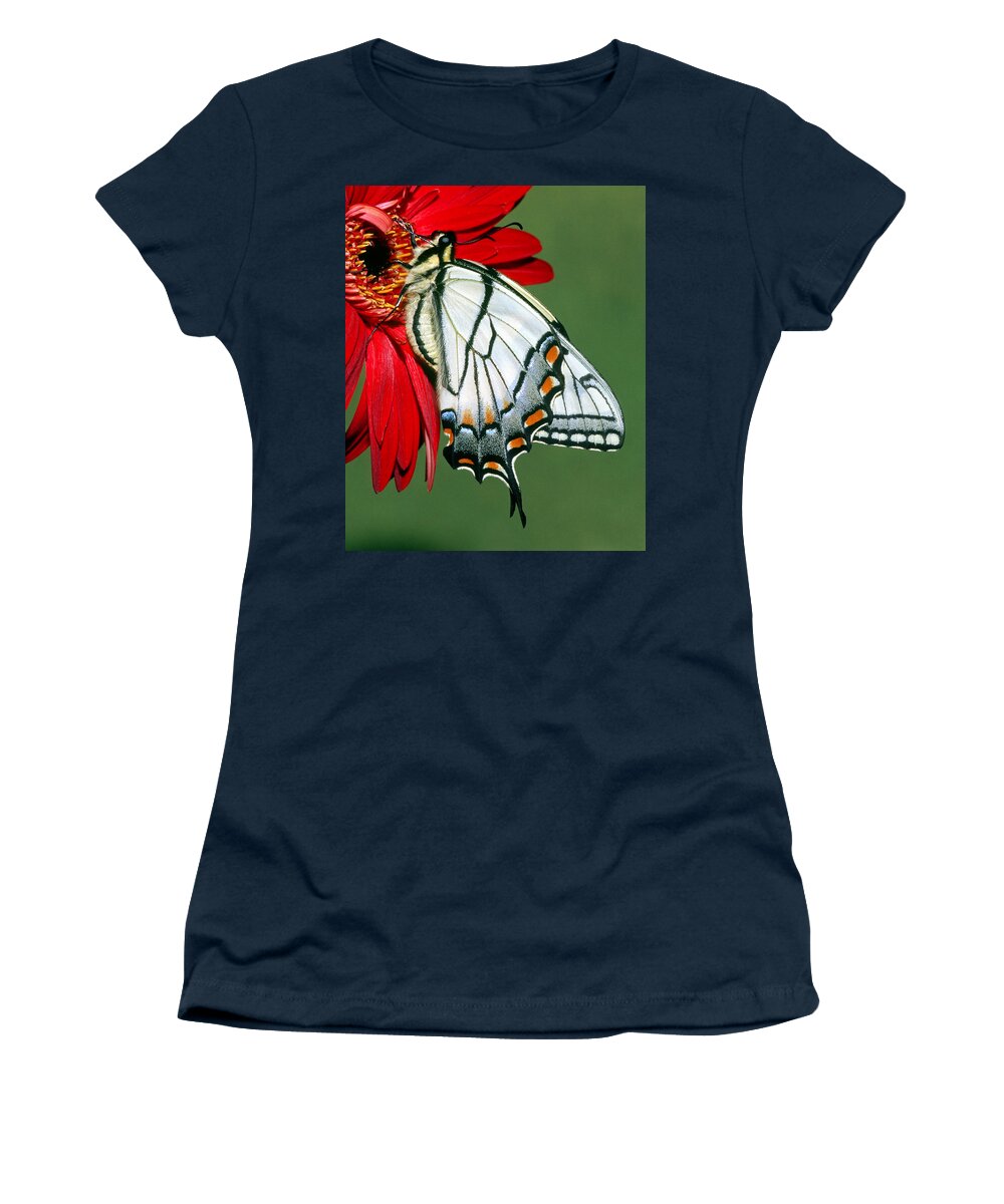 Eastern Tiger Swallowtail Butterfly Women's T-Shirt featuring the photograph Eastern Tiger Swallowtail Butterfly #36 by Millard H. Sharp