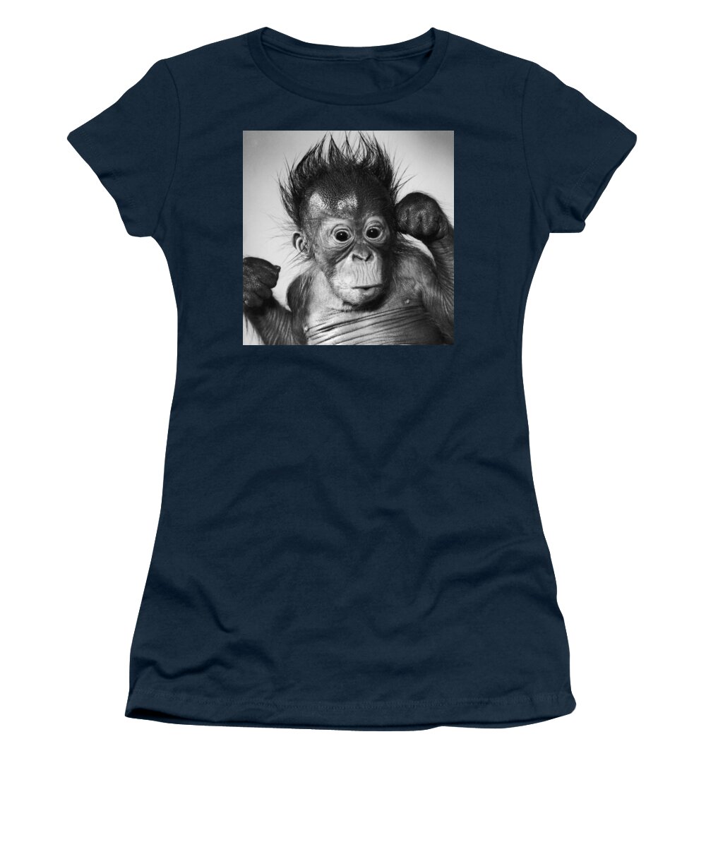 Animal Women's T-Shirt featuring the photograph Orangutan Pongo Pygmaeus Baby #4 by Toni Angermayer