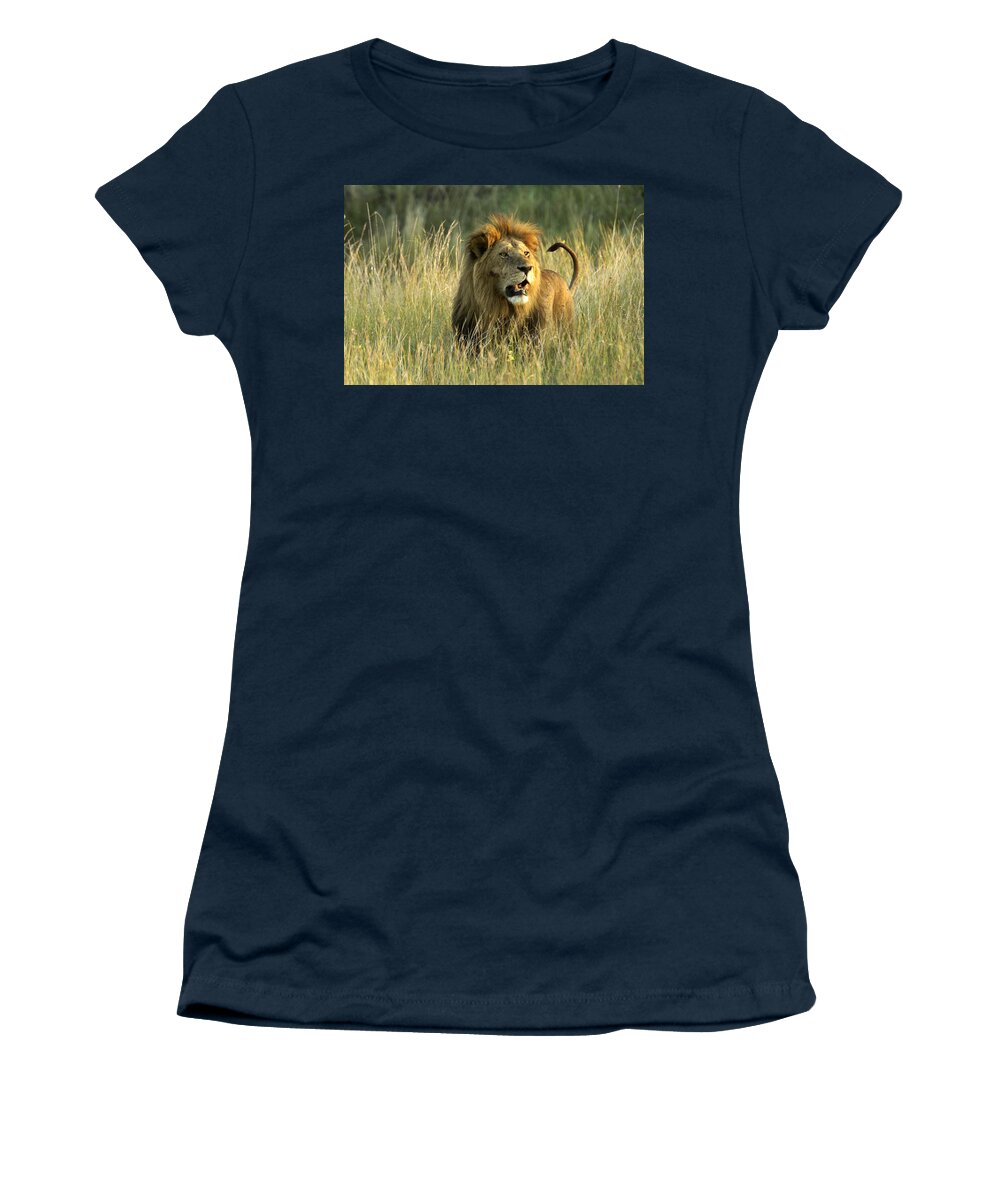 Lion Women's T-Shirt featuring the photograph King of the Savanna #4 by Michele Burgess