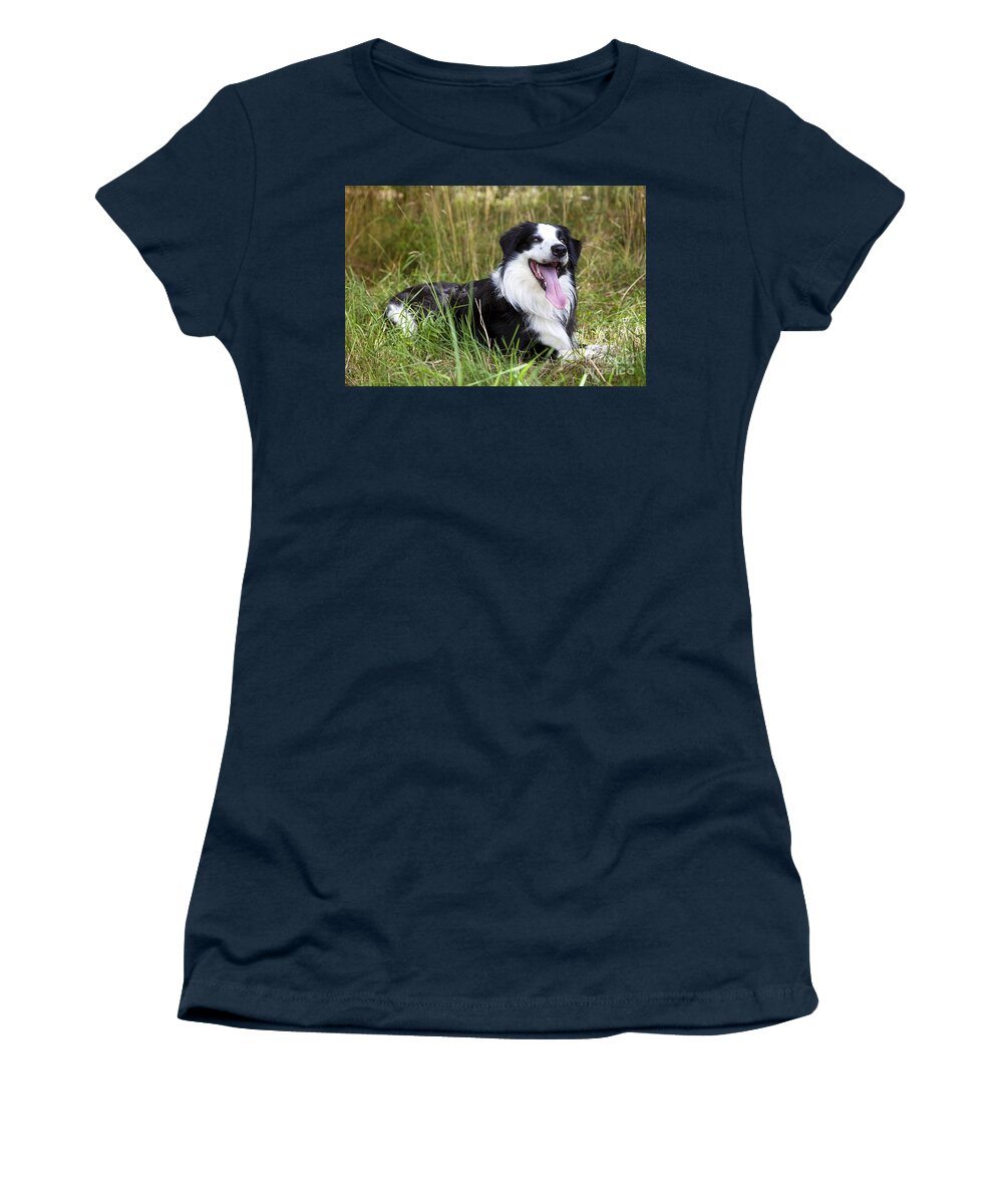 Dog Women's T-Shirt featuring the photograph Border Collie in the nature #6 by Gina Koch