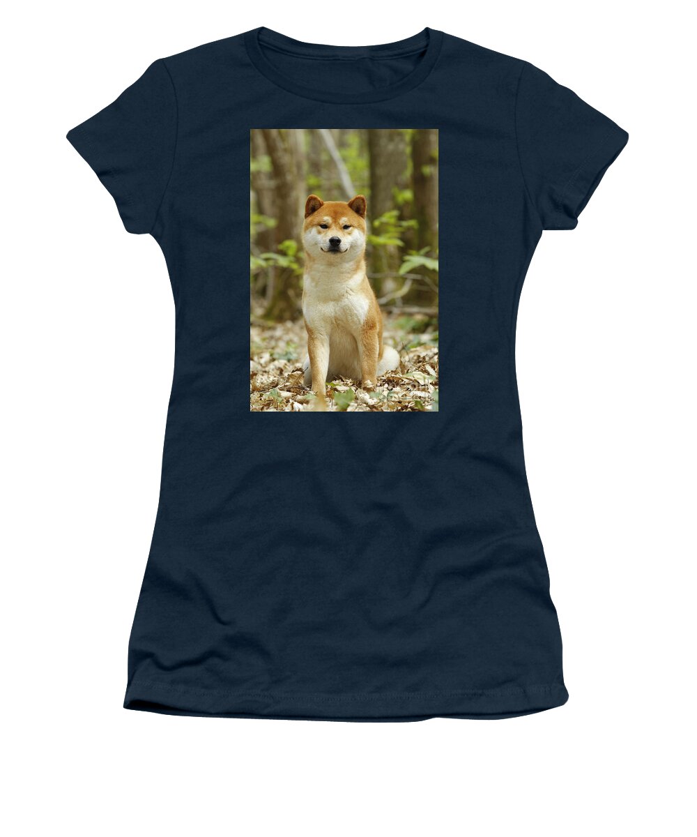 Shiba Inu Women's T-Shirt featuring the photograph Shiba Inu Dog #6 by Jean-Michel Labat