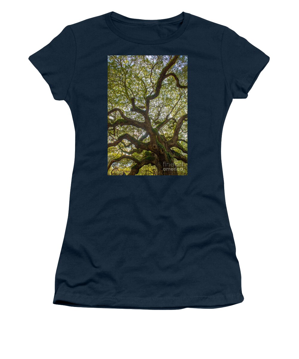 Angel Oak Tree Women's T-Shirt featuring the photograph Island Angel Oak Tree by Dale Powell