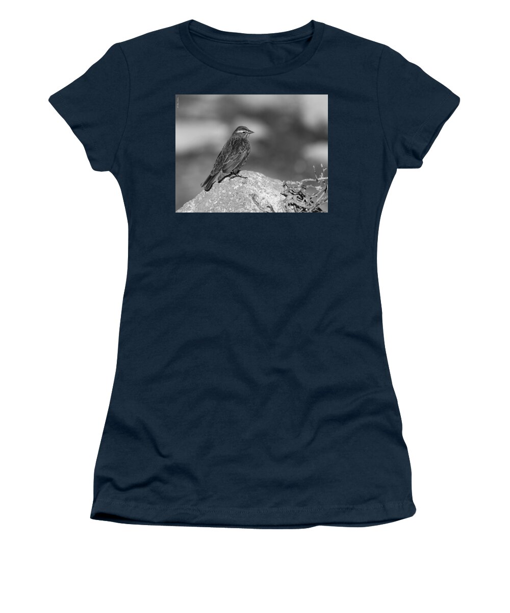 B&w Women's T-Shirt featuring the photograph A Bird by Alexander Fedin