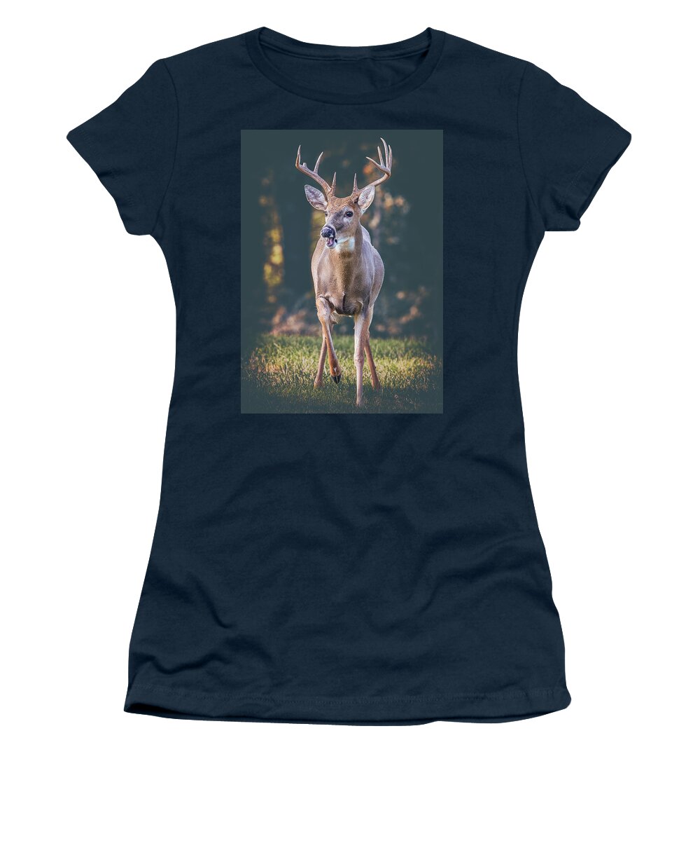 Buck Women's T-Shirt featuring the photograph A Buck From The Shadows by Bill and Linda Tiepelman