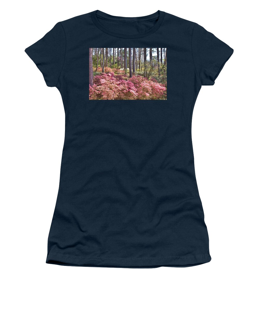 8211 Women's T-Shirt featuring the photograph A Quiet Spot in the Woods by Gordon Elwell