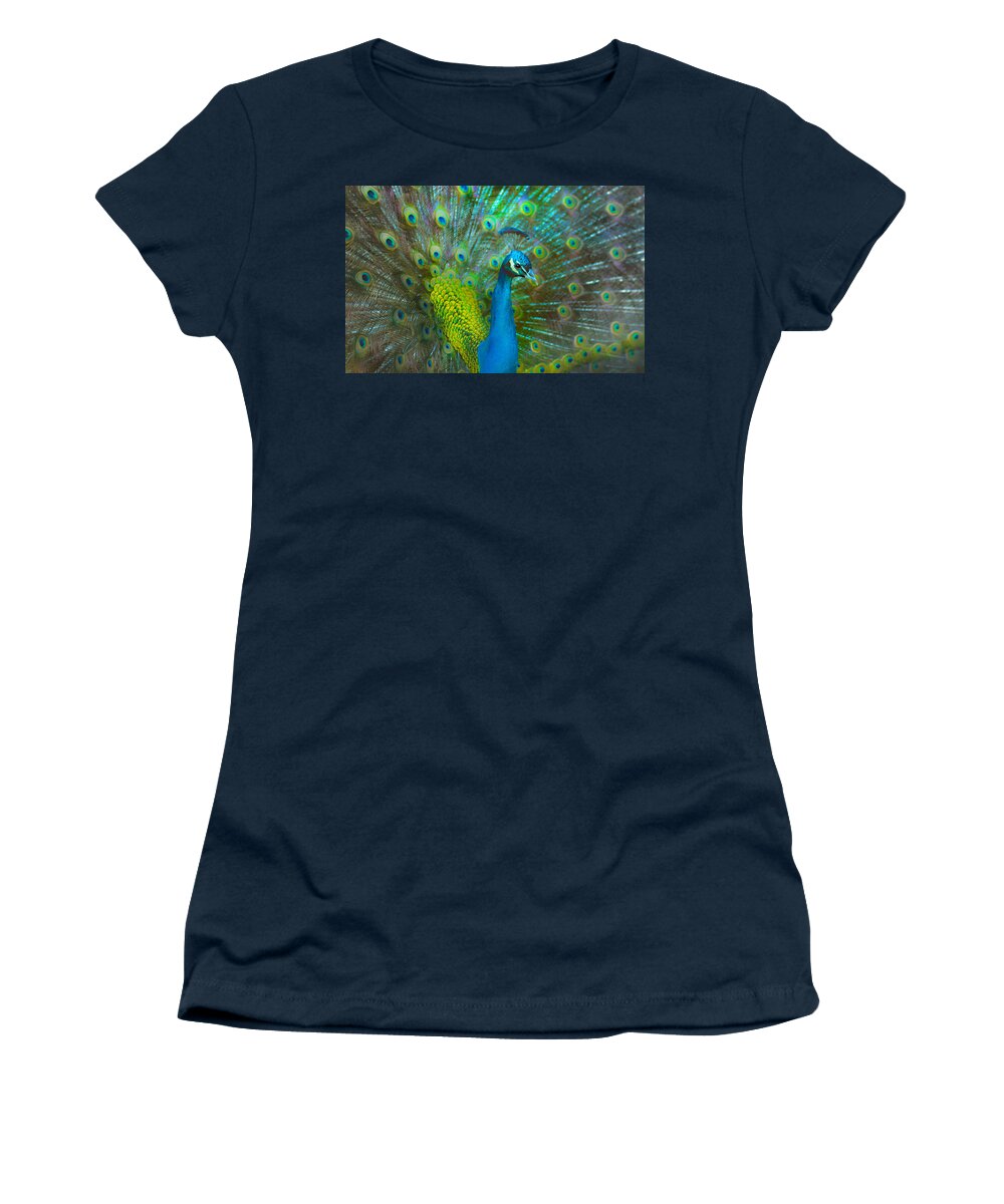 Peacock Women's T-Shirt featuring the photograph Peacock Face Mask by Patricia Dennis