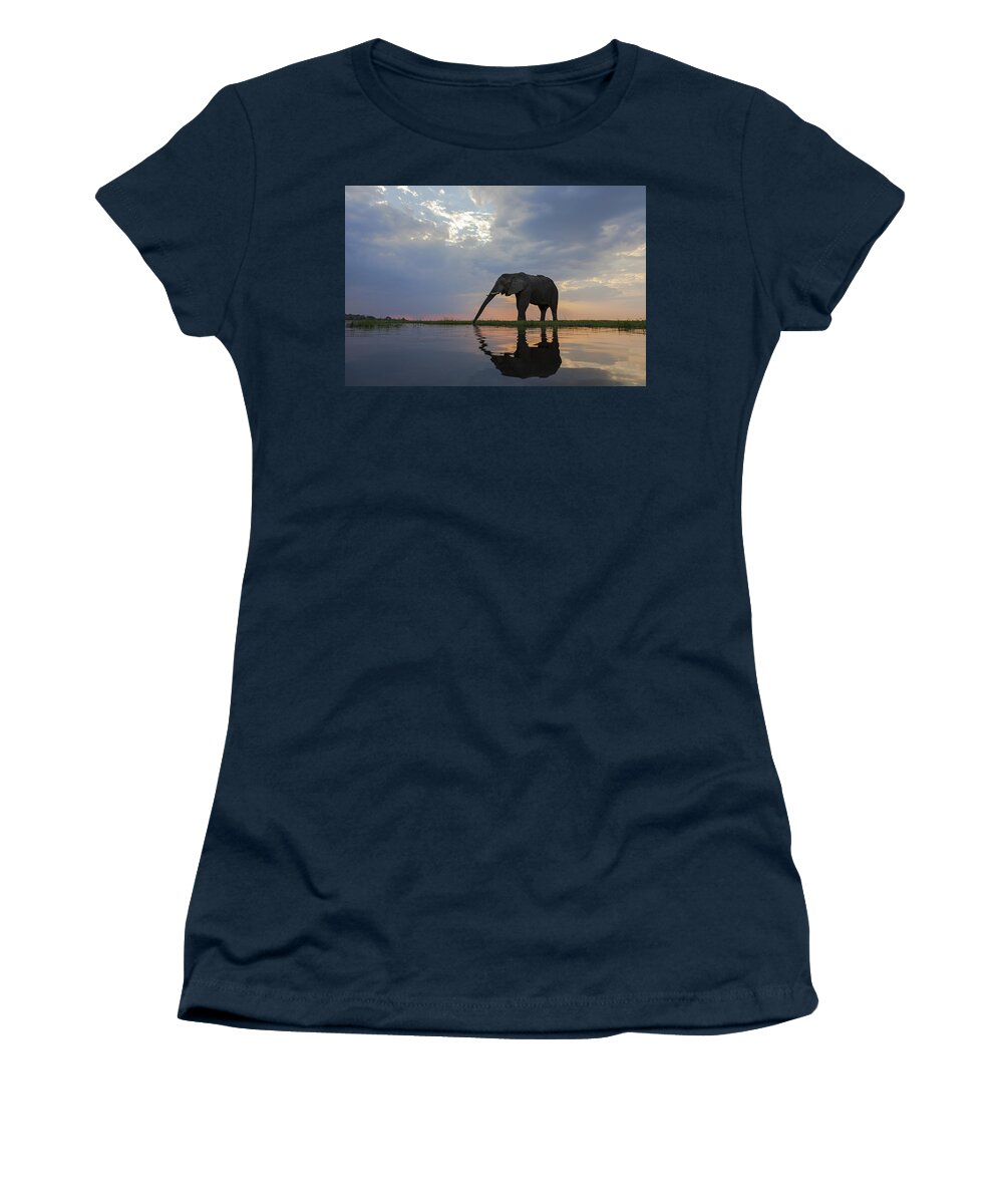 Vincent Grafhorst Women's T-Shirt featuring the photograph African Elephant Drinking Chobe River by Vincent Grafhorst