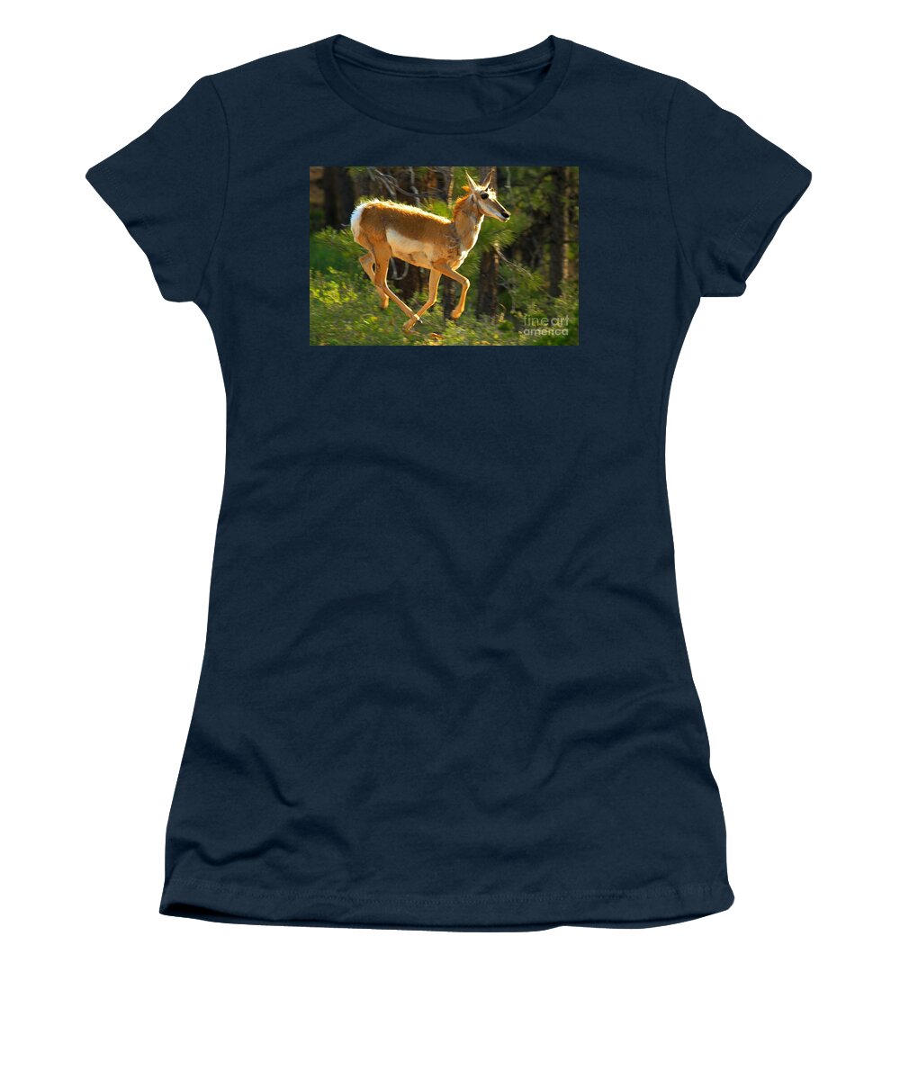 Pronghorn Women's T-Shirt featuring the photograph Airborn Pronghorn by Adam Jewell
